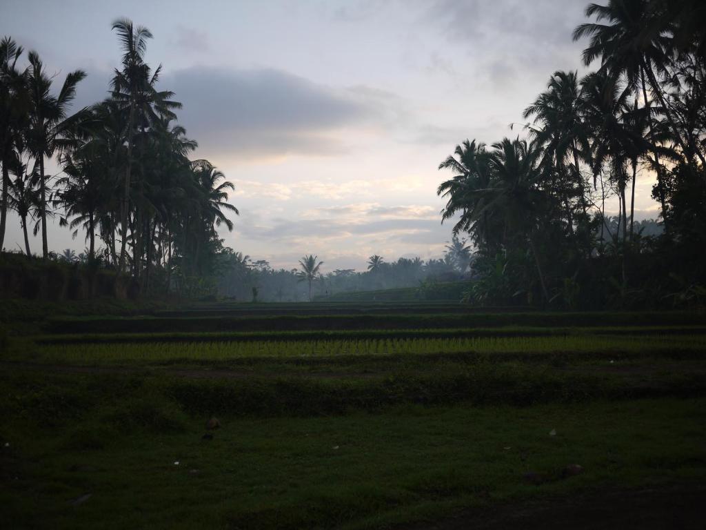 דנפסאר Villa Ibu Rama Ubud מראה חיצוני תמונה