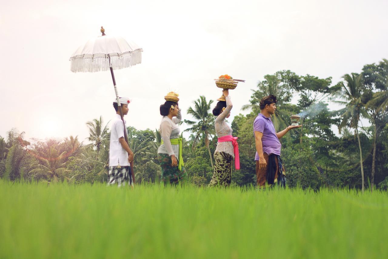 דנפסאר Villa Ibu Rama Ubud מראה חיצוני תמונה