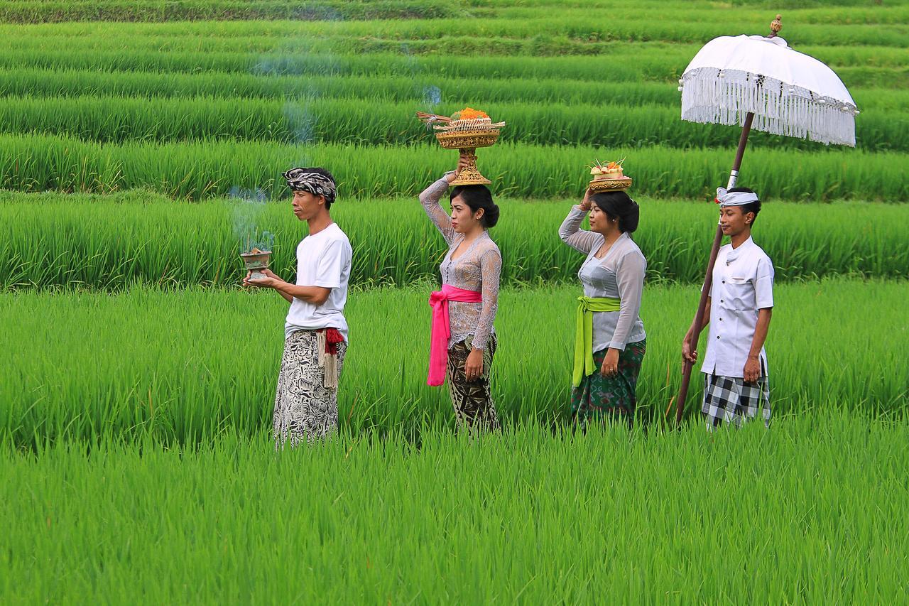 דנפסאר Villa Ibu Rama Ubud מראה חיצוני תמונה