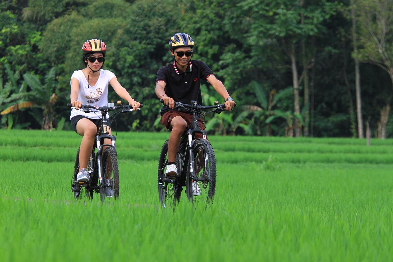 דנפסאר Villa Ibu Rama Ubud מראה חיצוני תמונה