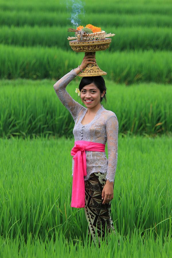 דנפסאר Villa Ibu Rama Ubud מראה חיצוני תמונה